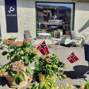 Fagernes vinmesse